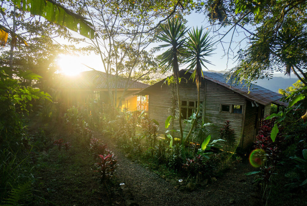 Costa Rica, Projekt ökologische Farm