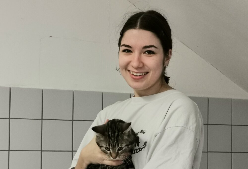 Laura bei ihrem FÖJ im Katzenhaus des Tierheims.