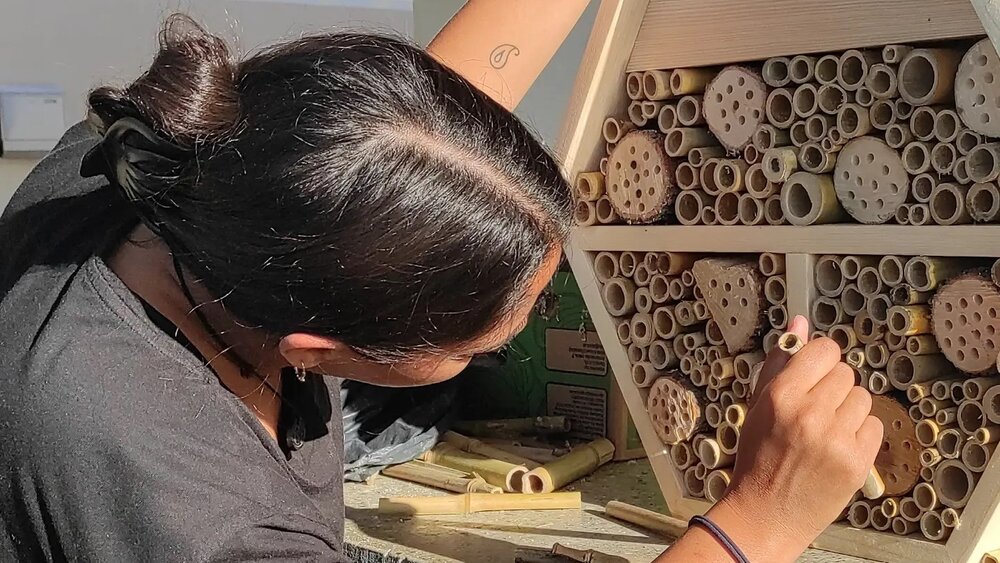 Bau eines Insektenhotels beim Volunteering in Slowenien