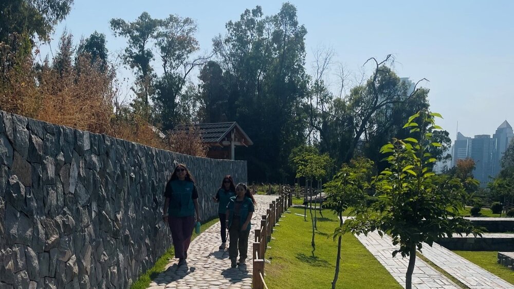 Volunteering in Chile: Parkanlage 